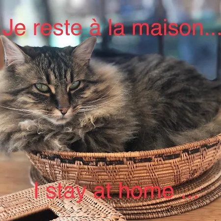 Au Calme Sans Vis A Vis